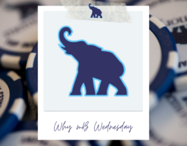 Thumbnail for Why mB Wednesday Features – July