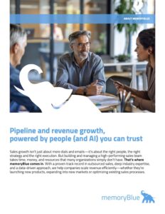 Learn more about memoryBlue sales services