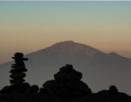 Thumbnail for The balancing act: translating vision, pressure and performance